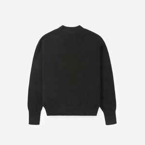 Everlane Cashmere Raglan Mockneck